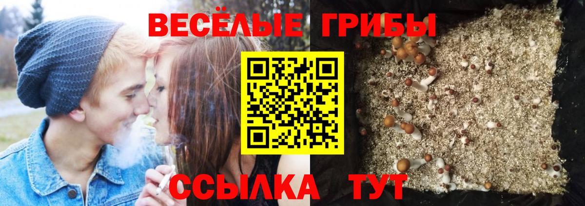 Псилоцибиновые грибы GOLDEN TEACHER Щёкино