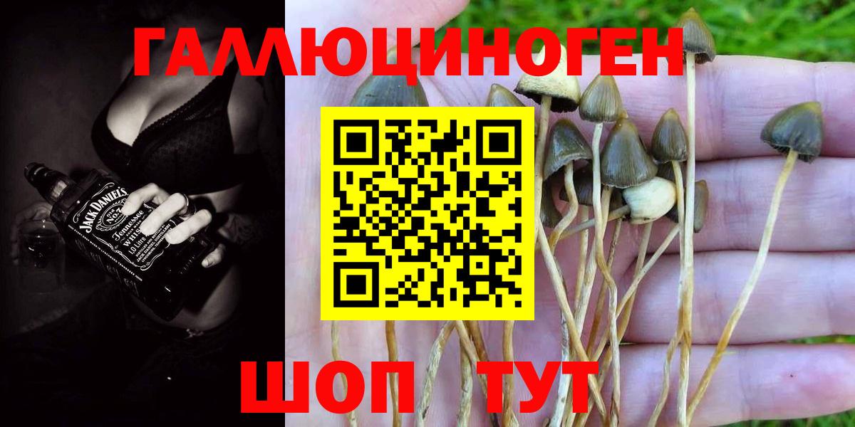 Псилоцибиновые грибы прущие грибы  Вход с VPN  Щёкино 