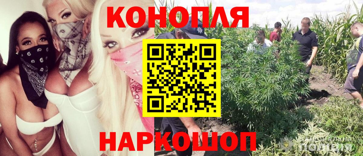 Марихуана семена Щёкино